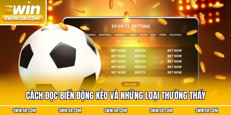 Cách đọc biến động kèo và những loại thường thấy